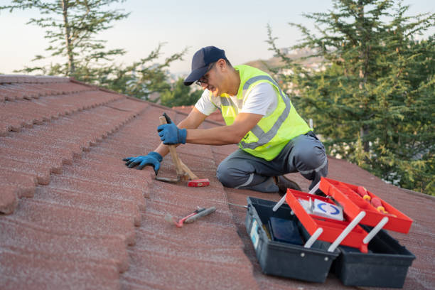 Roof Gutter Cleaning in Coopersburg, PA
